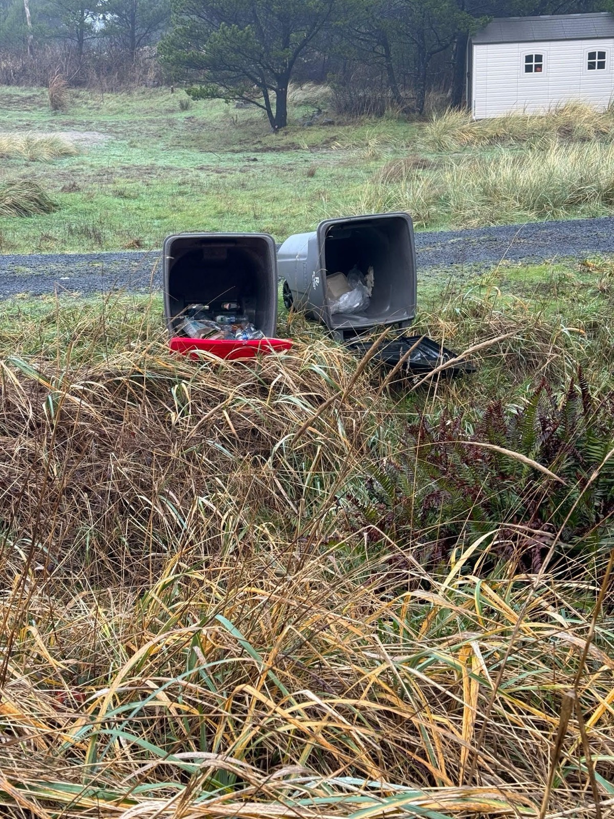 Trash cans at the new trash location